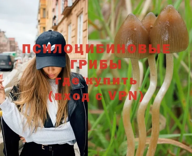 Галлюциногенные грибы Psilocybe  OMG рабочий сайт  Белый 